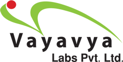 Vayavya Labs Private Limited